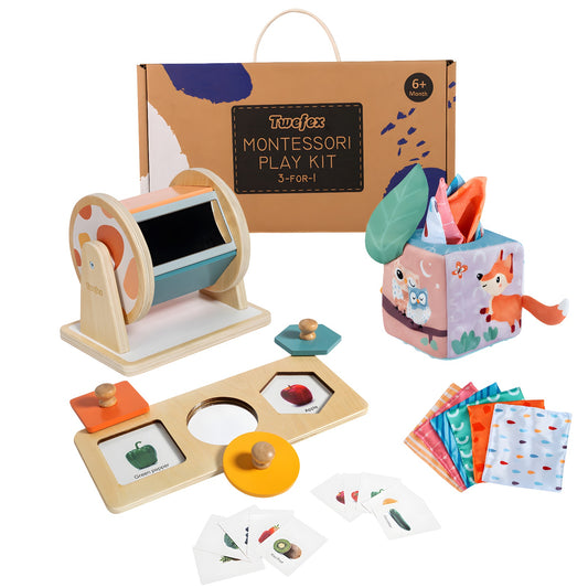 Montessori Toys Kit for Babies 6-12 Months